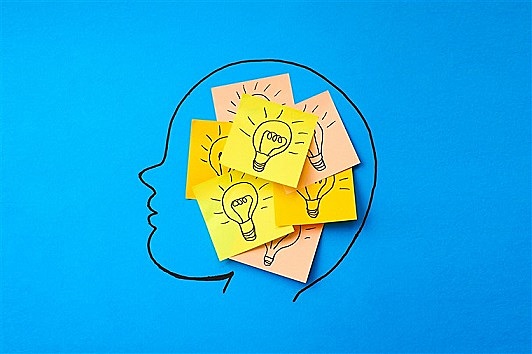 Existencia de 4 facultades básicas.