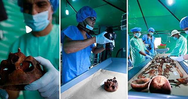 medicina legal en francia