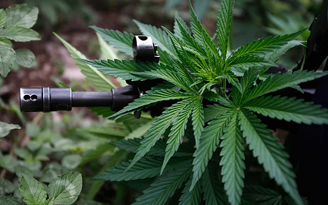 La bonanza Marimbera