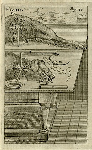 Primeira trasnfusão entre animais publicada. Richard Lower.