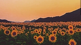 Timeline: Life Story