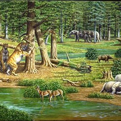 Timeline: Jeolojik Devirler / Senozoik