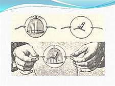 asustan movimiento taumatropo