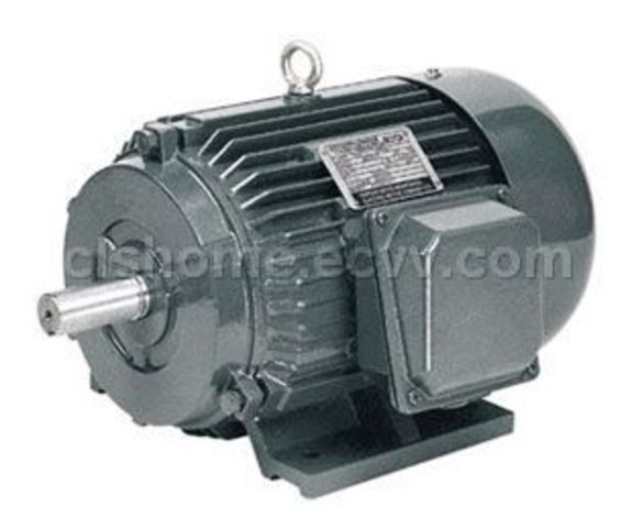 Induction Electric Motor