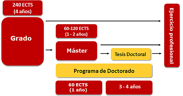 organización del sistema universitario