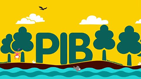 PIB DEL 2015