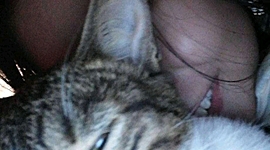 Timeline: MY TIME LIFE