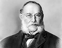 Carlos Finlay hizo su famoso descubrimiento del mosquito transmisor de la fiebre amarilla.