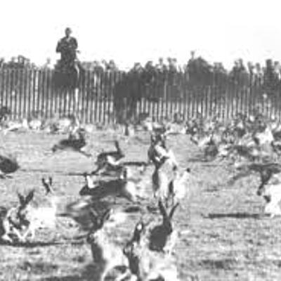 Timeline: The Great Depression and The Dust Bowl