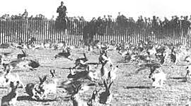 Timeline: The Great Depression and The Dust Bowl