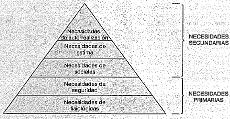 TEORÍA DEL COMPORTAMIENTO