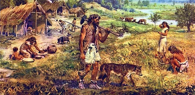 Agricultura - Neolítico