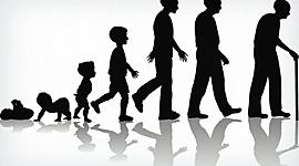 Timeline: Mi Lnea De Tiempo