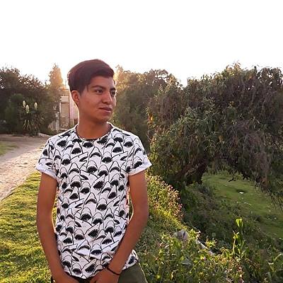 Timeline: MI VIDA JORGE LUIS JUAREZ VILLA