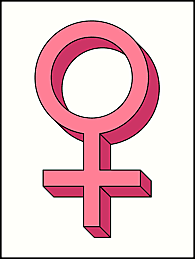 Feminism and Critical Theory