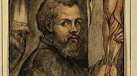 Timeline: Andreas Vesalius