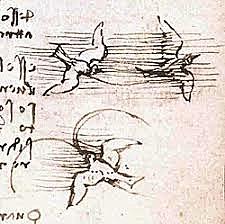Léonard dessine le Codex sur le vol des oiseaux