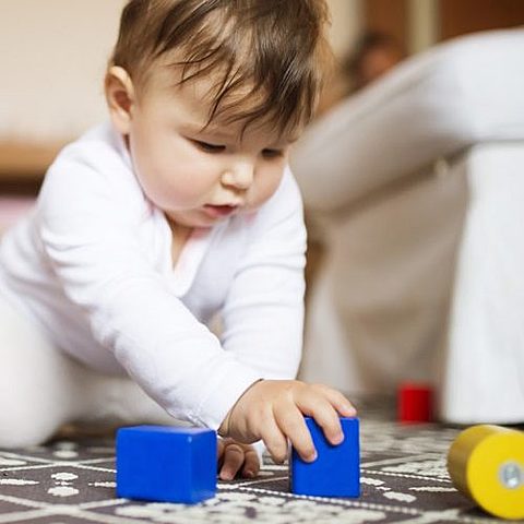 Infant: Intellectual Development