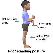 Toddler: Physical Development ( Physical Characteristics  and Features)