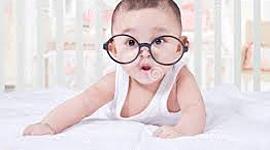 Timeline: Stages of Development