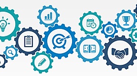 Timeline: Stages of Development