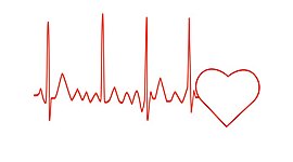 Timeline: Trayectoria de Vida