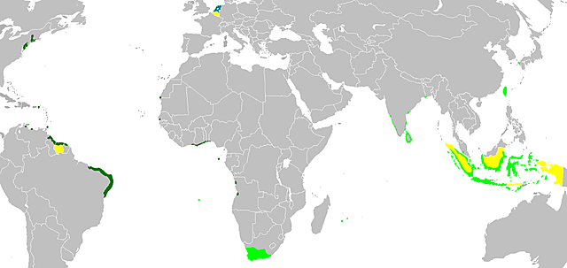Creazione della compagnia Olandese delle Indie occidentali