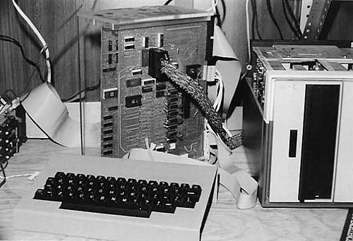 Inició incursión en el uso de la tecnología de computadoras digitales en México.