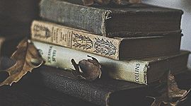 Timeline: Movimientos