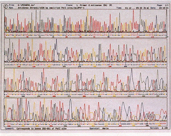 Sanger and Gilbert found a way to sequence DNA