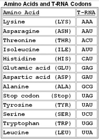 Khorana, and Nirenberg discovered 64 codons(3 bases of DNA)