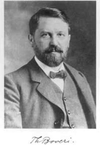 Theodor Boveri