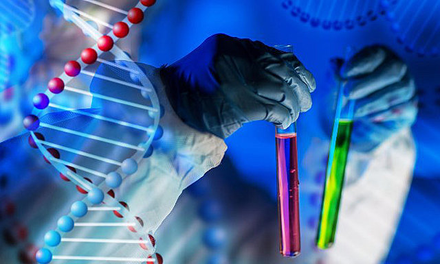 Se crea la eugenesia