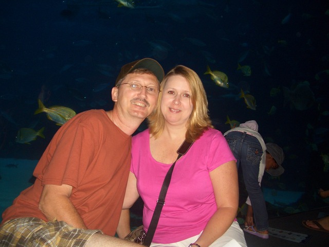 My Parent's Wedding Day