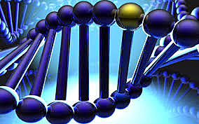 Genoma humano se descifra