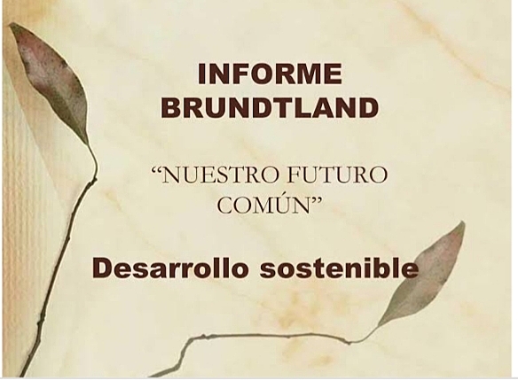 "Nuestro Futuro Común "