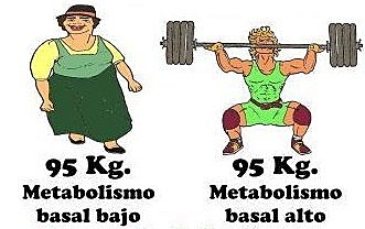 Metabolismo basal