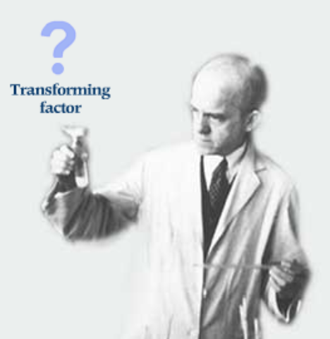 OSWALD THEODORE AVERY