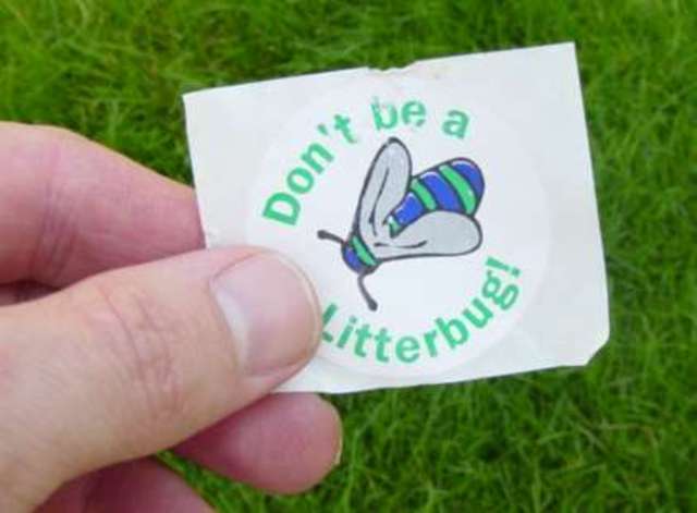 Annual Diamond Doll Trash Pick-Up.