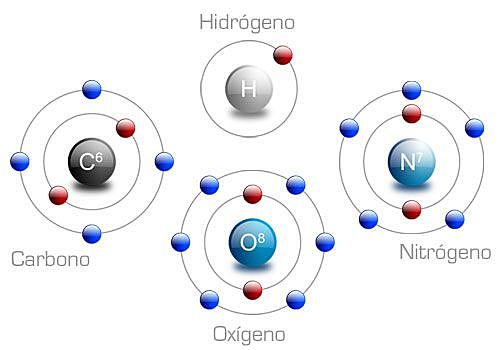 Componentes Primarios  de la Comida
