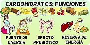 Funcion de los carbohidratos