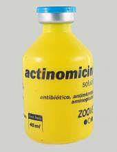 Ingreso de la Actinomicina