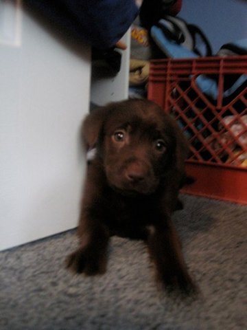 An Addition to the Family