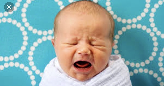 The Newborn: Birth to 1 Month