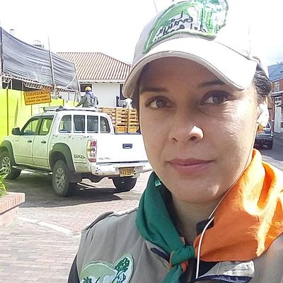 Timeline: Histotias del Arte sigolo XXI - En busqueda de nuevas concepcioones.