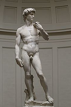 The David (Michelangelo)