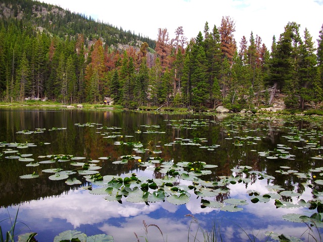 Born in Longmont Colorado