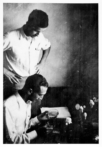 Max Delbrück and Salvador Luria