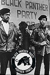 The Black Panthers