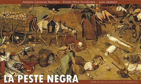 Las grandes epidemias de peste bubónica, lepra y otras enfermedades